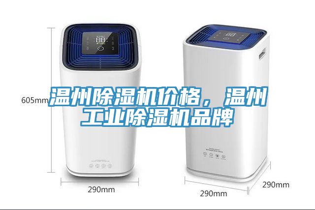 溫州91看片网站價格，溫州工業91看片网站品牌
