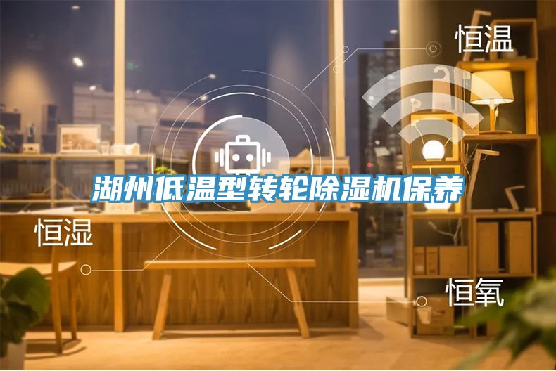 湖州低溫型轉輪91看片网站保養