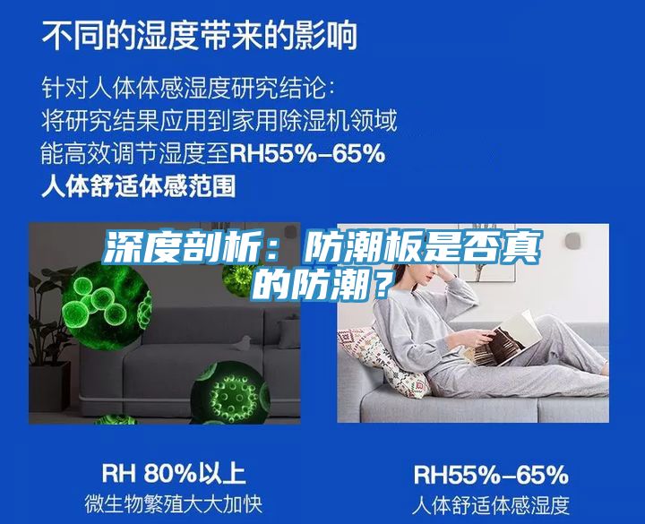 深度剖析：防潮板是否真的防潮？