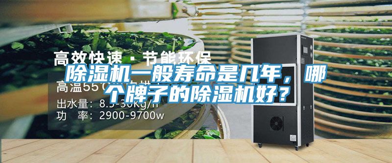 91看片网站一般壽命是幾年，哪個牌子的91看片网站好？