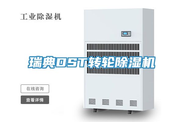 瑞典DST轉輪91看片网站
