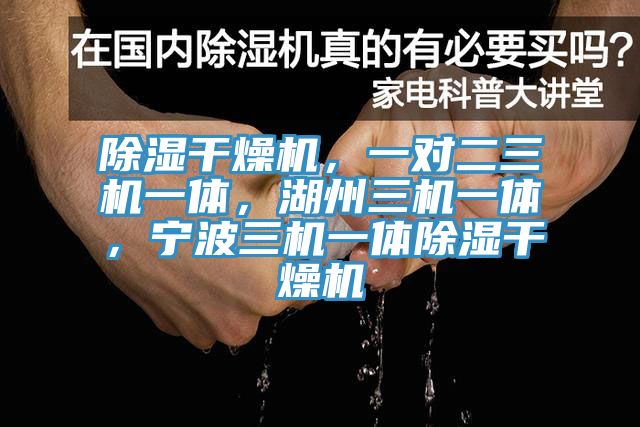 除濕幹燥機，一對二三機一體，湖州三機一體，寧波三機一體除濕幹燥機