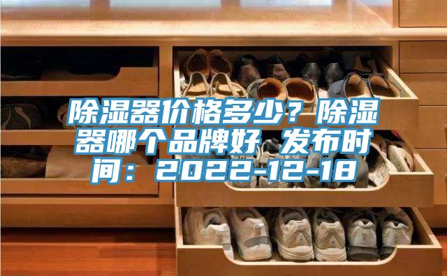 除濕器價格多少？除濕器哪個品牌好 發布時間：2022-12-18