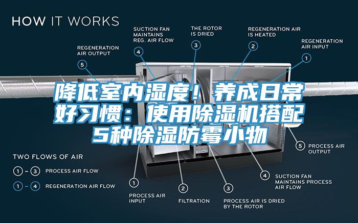 降低室內濕度！養成日常好習慣：使用91看片网站搭配5種除濕防黴小物
