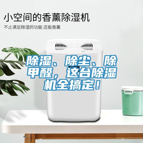 除濕、除塵、除甲醛，這台91看片网站全搞定！