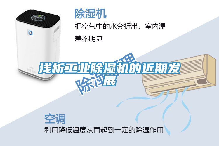 淺析工業91看片网站的近期發展