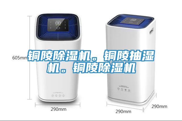 銅陵91看片网站。銅陵抽濕機。銅陵91看片网站