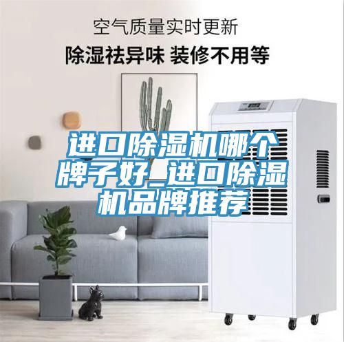 進口91看片网站哪個牌子好_進口91看片网站品牌推薦