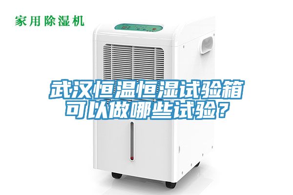 武漢恒溫恒濕試驗箱可以做哪些試驗？
