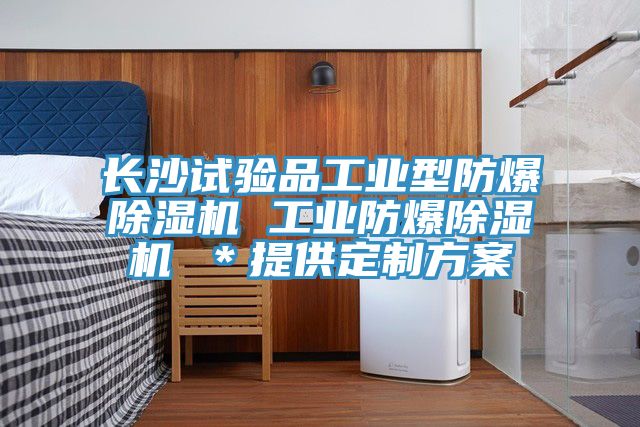 長沙試驗品工業型防爆91看片网站 工業防爆91看片网站 ＊提供定製方案