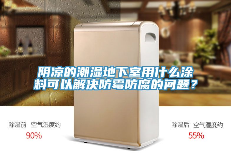 陰涼的潮濕地下室用什麽塗料可以解決防黴防腐的問題？