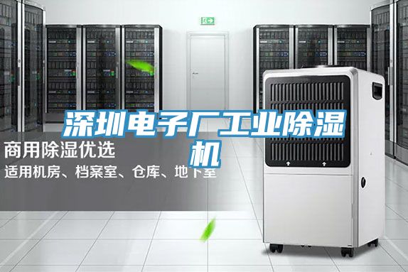 深圳電子廠工業91看片网站