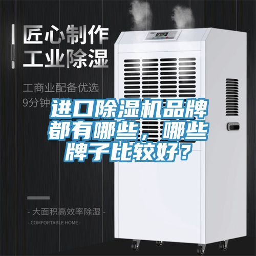進口91看片网站品牌都有哪些，哪些牌子比較好？