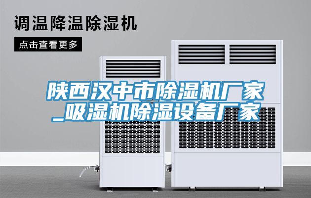 陝西漢中市91看片网站廠家_吸濕機除濕設備廠家