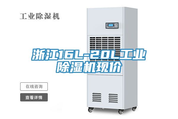 浙江16L-20L工業91看片网站現價
