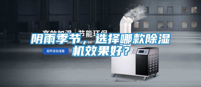 陰雨季節，選擇哪款91看片网站效果好？