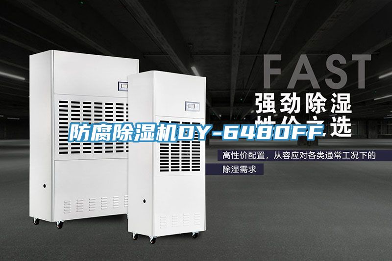 防腐91看片网站DY-6480FF
