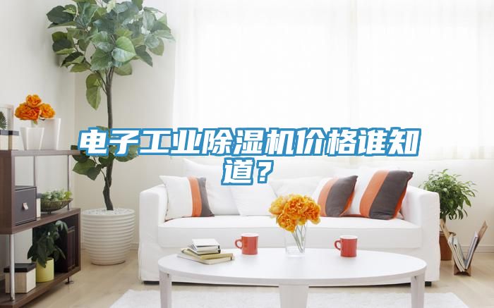 電子工業91看片网站價格誰知道？