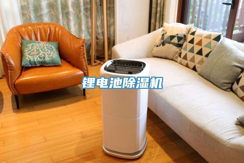 鋰電池91看片网站