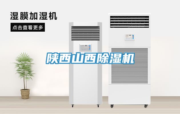 陝西山西91看片网站