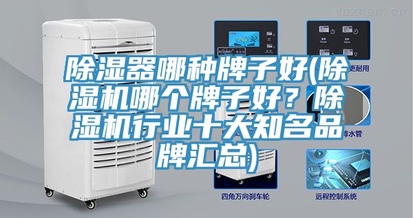 除濕器哪種牌子好(91看片网站哪個牌子好？91看片网站行業十大知名品牌匯總)