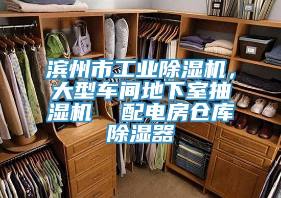 濱州市工業91看片网站，大型車間地下室抽濕機  配電房倉庫除濕器