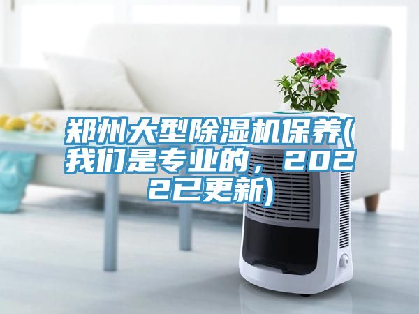 鄭州大型91看片网站保養(91看片免费下载是專業的，2022已更新)