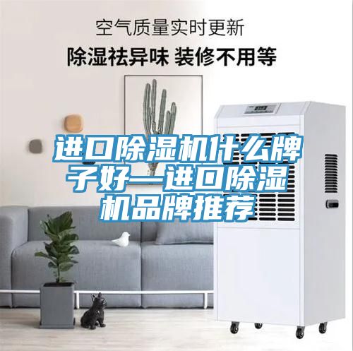 進口91看片网站什麽牌子好—進口91看片网站品牌推薦