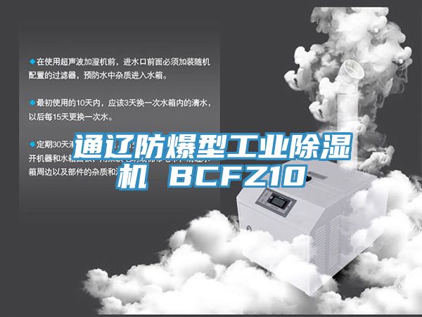 通遼防爆型工業91看片网站 BCFZ10