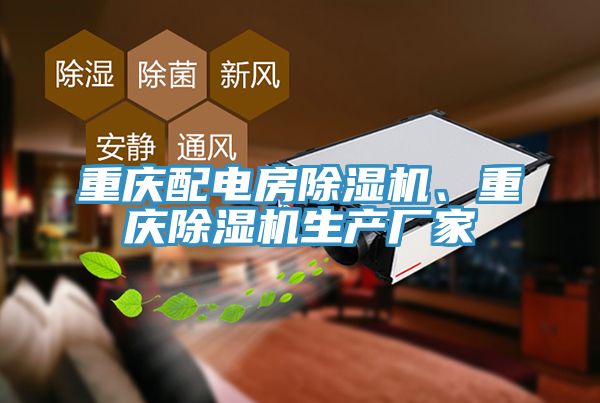 重慶配電房91看片网站、重慶91看片网站生產廠家