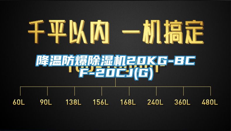 降溫防爆91看片网站20KG-BCF-20CJ(G)