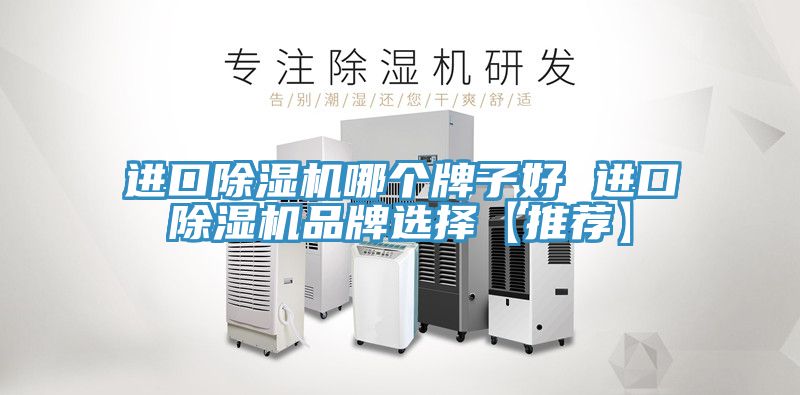 進口91看片网站哪個牌子好 進口91看片网站品牌選擇【推薦】