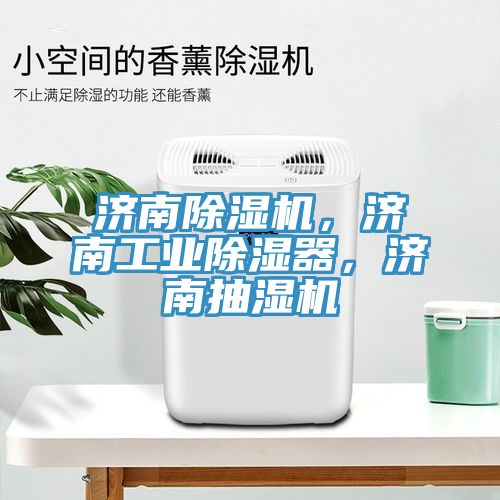 濟南91看片网站，濟南工業除濕器，濟南抽濕機