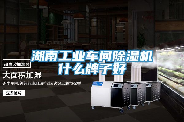 湖南工業車間91看片网站什麽牌子好
