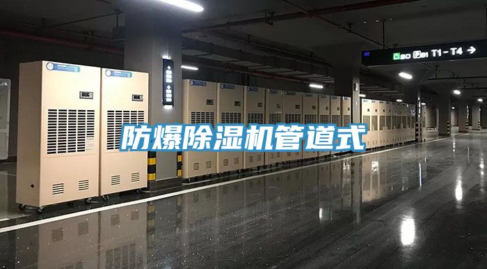 防爆91看片网站管道式