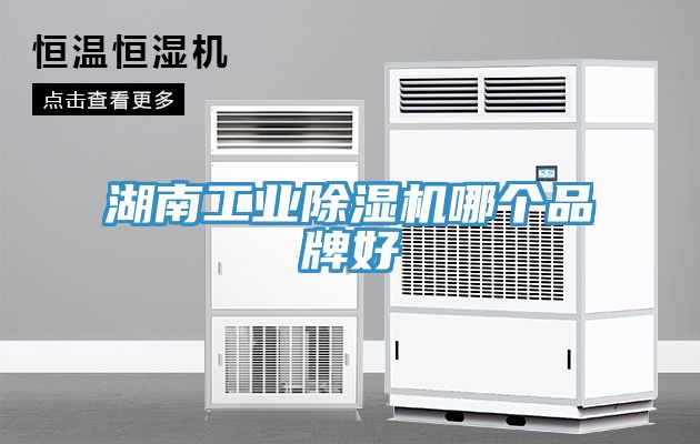 湖南工業91看片网站哪個品牌好