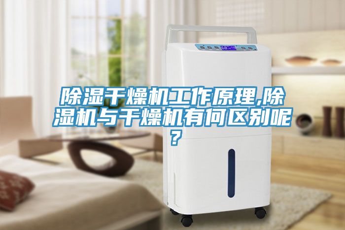 除濕幹燥機工作原理,91看片网站與幹燥機有何區別呢？