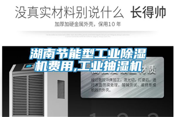 湖南節能型工業91看片网站費用,工業抽濕機