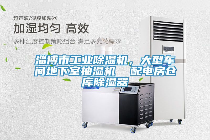 淄博市工業91看片网站，大型車間地下室抽濕機  配電房倉庫除濕器