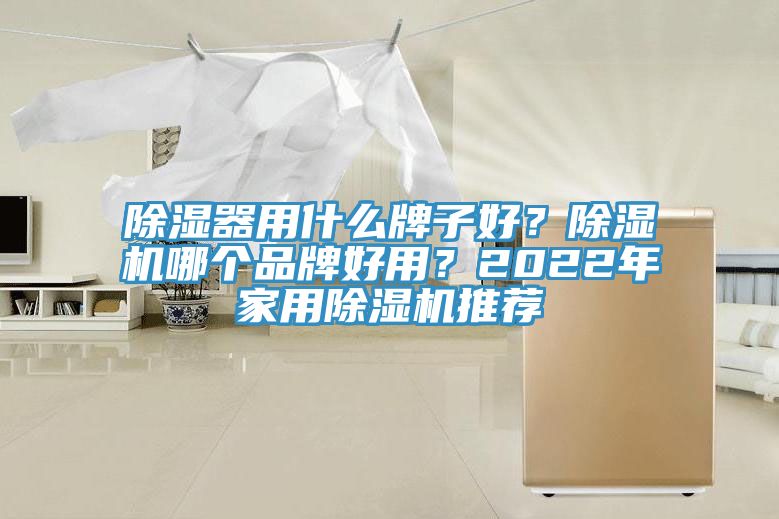除濕器用什麽牌子好？91看片网站哪個品牌好用？2022年家用91看片网站推薦