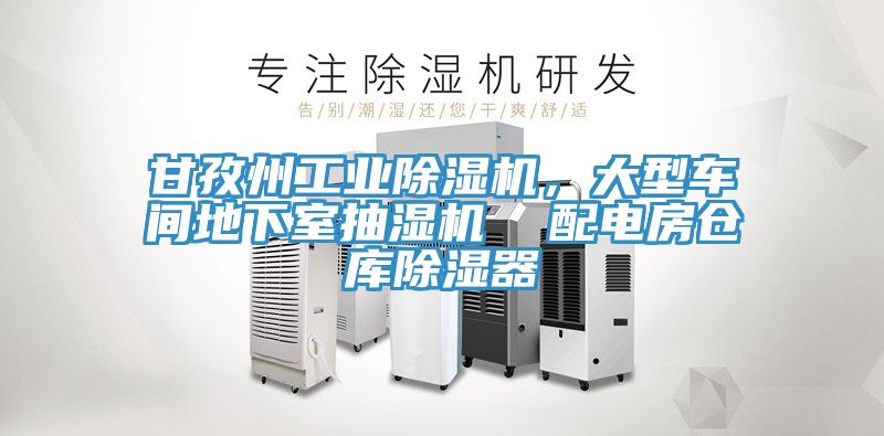 甘孜州工業91看片网站，大型車間地下室抽濕機  配電房倉庫除濕器
