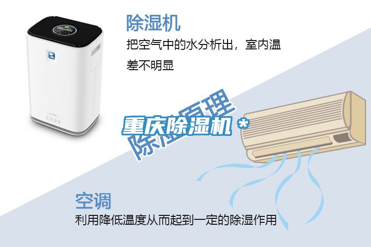 重慶91看片网站＊