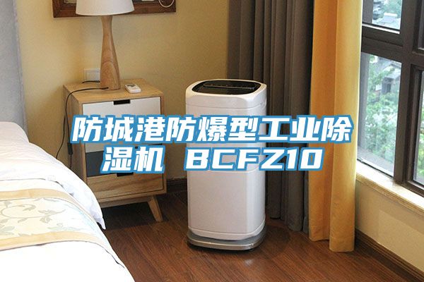 防城港防爆型工業91看片网站 BCFZ10