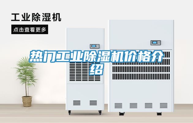 熱門工業91看片网站價格介紹