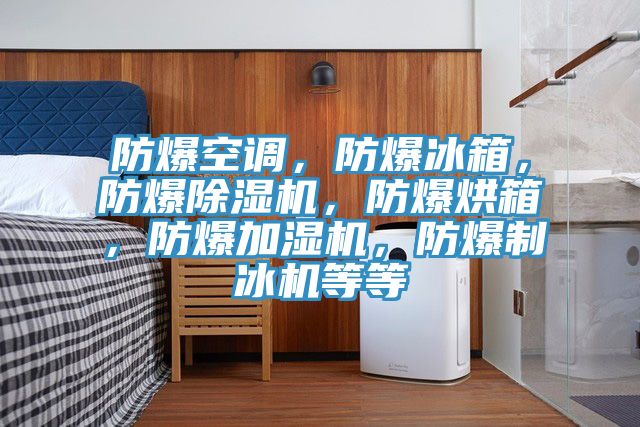 防爆空調，防爆冰箱，防爆91看片网站，防爆烘箱，防爆加濕機，防爆製冰機等等