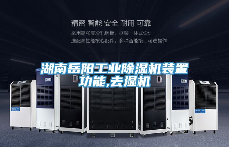 湖南嶽陽工業91看片网站裝置功能,去濕機