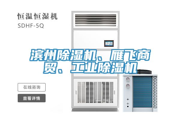 濱州91看片网站、雁飛商貿、工業91看片网站