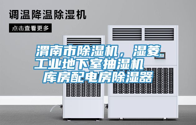 渭南市91看片网站，濕菱工業地下室抽濕機  庫房配電房除濕器