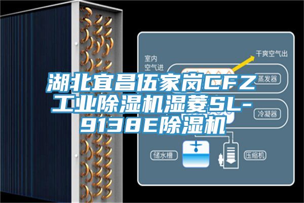 湖北宜昌伍家崗CFZ工業91看片网站濕菱SL-9138E91看片网站