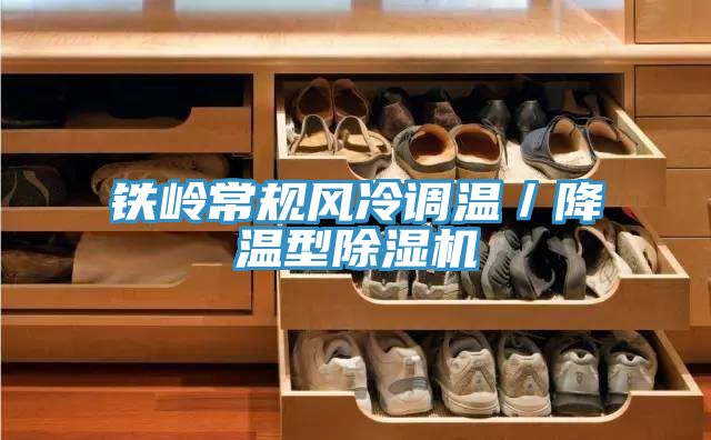 鐵嶺常規風冷調溫／降溫型91看片网站